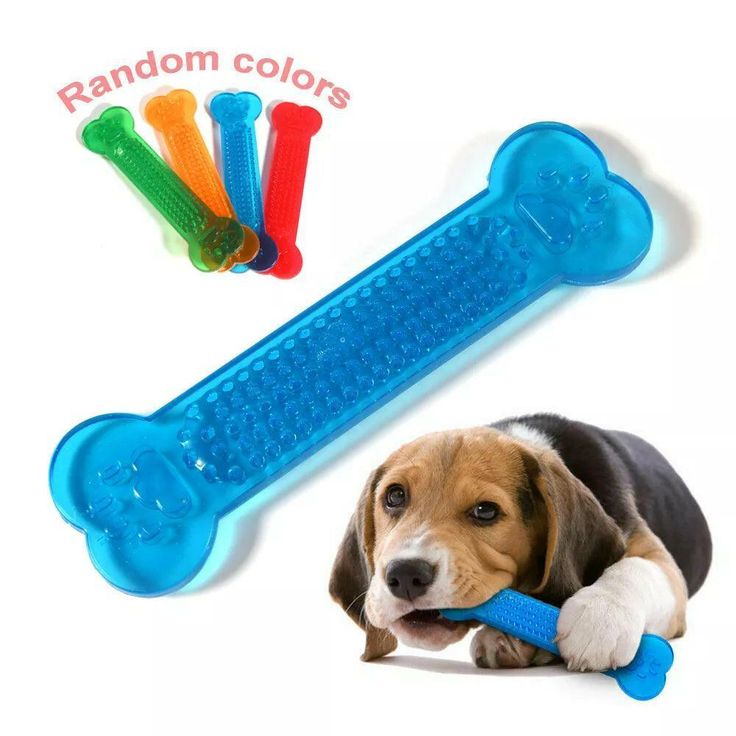 Best chew toy for aggressive chewers – durable rubber bone toy for dogs