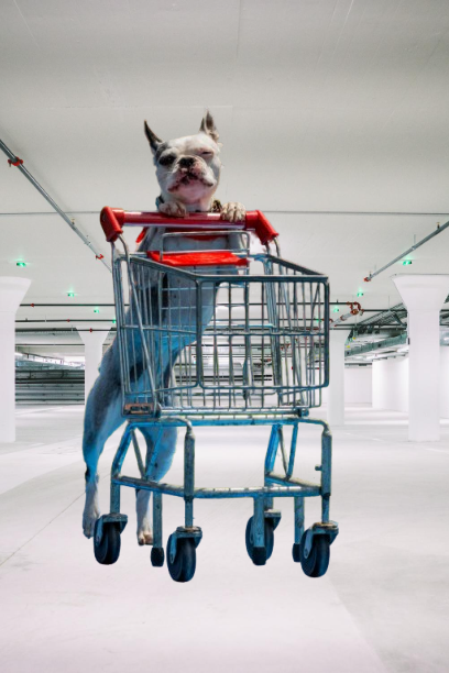 dogy with Cart Page