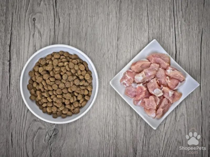 Artificial colors and flavors in small breed dog food to avoid