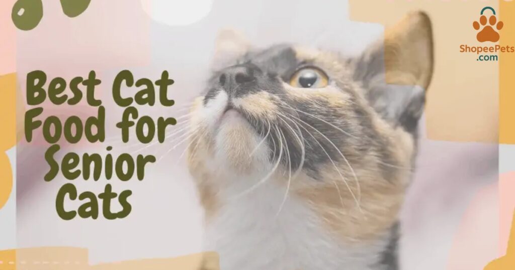 Wet cat food for senior cats