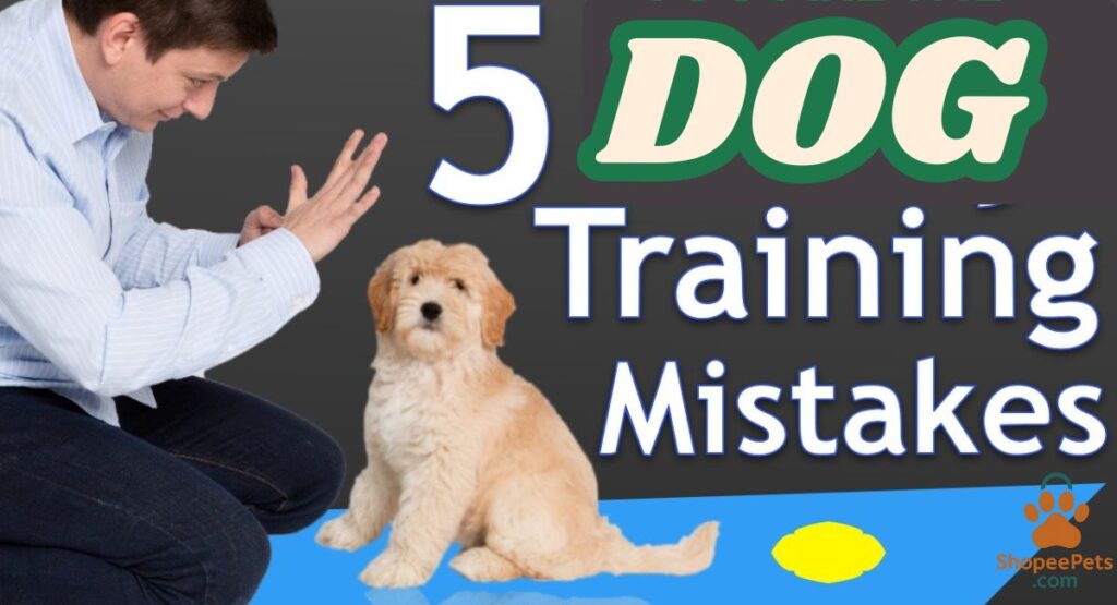 Top 5 Dog Training Mistakes