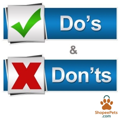 Common mistakes when introducing a new pet