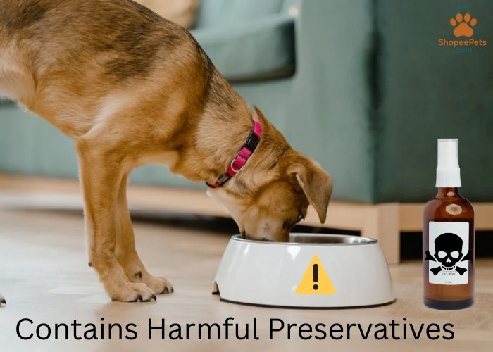 Artificial preservatives in small breed dog food to avoid