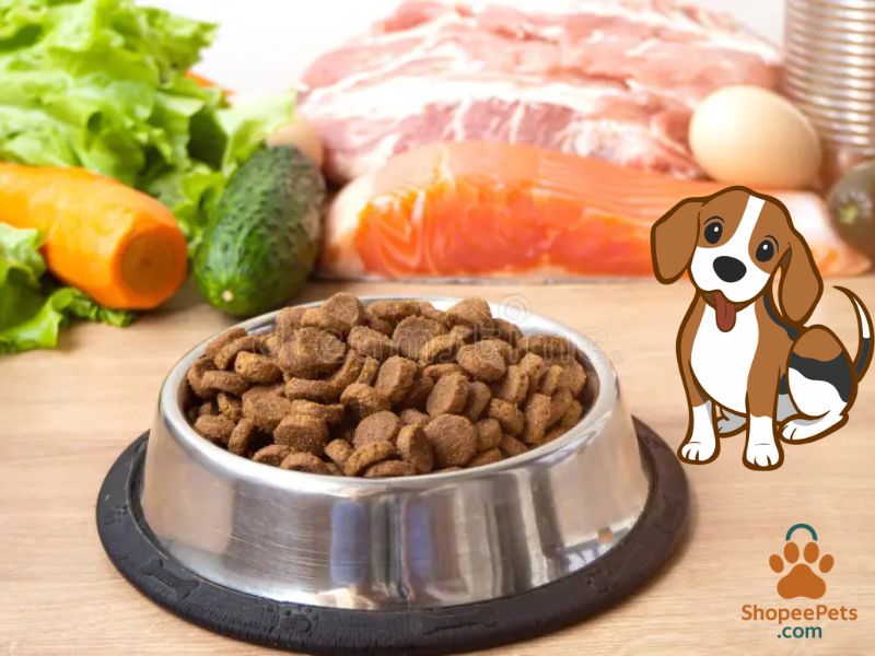 Essential nutrients in small breed dog food including protein, omega-3, vitamins, and minerals