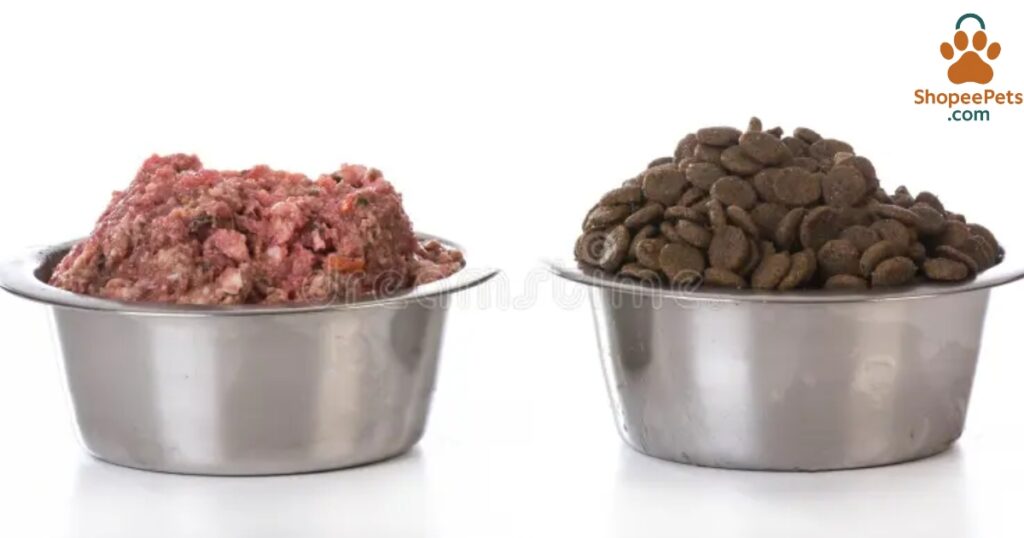 Dry cat food kibble nutrition
