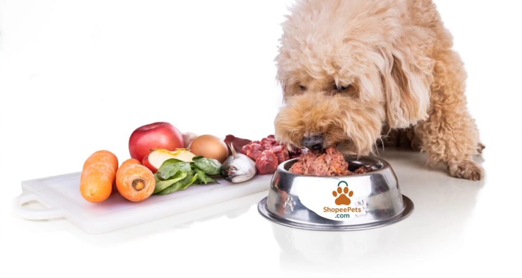 High-quality ingredients in small breed dog food with fresh chicken, vegetables, and grains for better nutrition