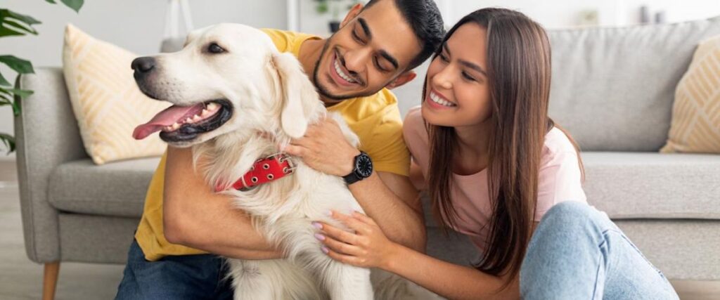 Owner hugging a pet at home after successful introduction