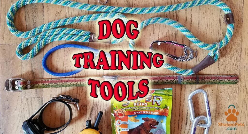 set of traning dog kit