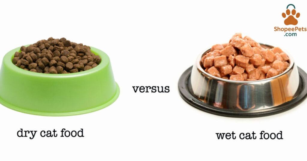 wet-vs-dry-cat-food-comparison