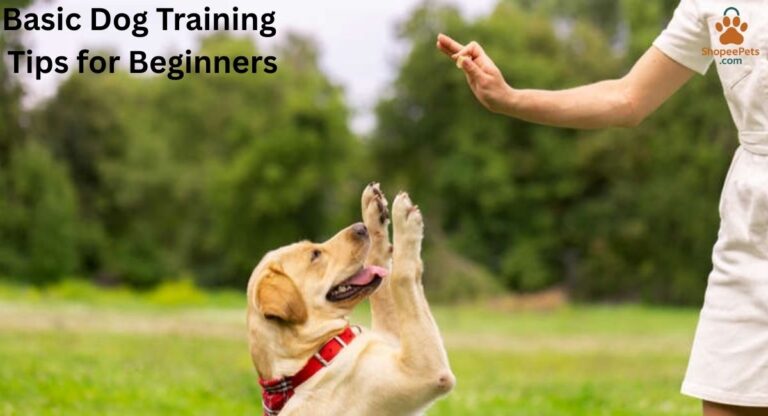 Owner training puppy using hand signals – dog training tips