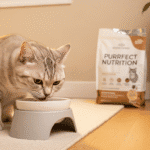 Best cat food brands for indoor cats 2025
