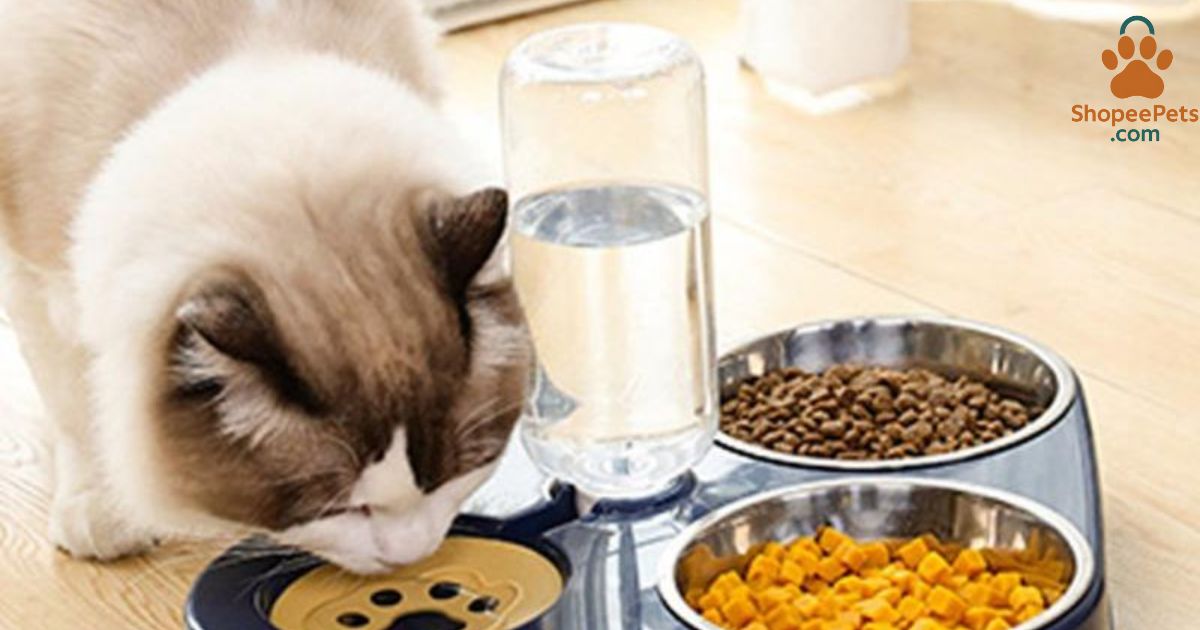best cat food for indoor cats